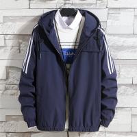cms/erpbt/backend/web/uploads/erp/collection/images/Men Clothes/JIMANFEI/EN0136976/img_b/EN0136976_img_b_1
